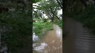 laghuchapa
