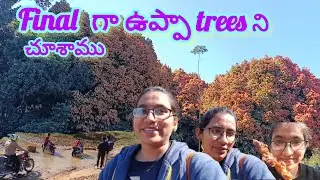 Uppa Trees Exploration | Beautiful Araku location | My Tour Vlog | Long Ride | Problems in Trip