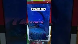 Pok&eacute;mon Gaole Singapore Part 4 | What's hidden in a big fruit bush ?