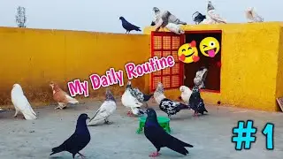 My Daily Routine || मेरा डेली रूटीन 🥰😜
