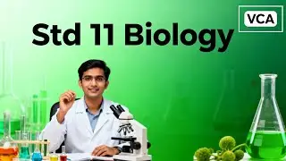 Std 11 Biology Chapter 14 Breathing 