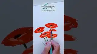 60 Second Watercolour Lesson. Poppies