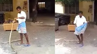 Amazing Snake Catcher India | Best Snake Catching Technique | లుంగీలో పాము