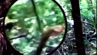 Cloaked Bigfoot enhanced