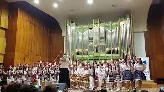 Meloritm - UNMB 2024 - Bate pasul