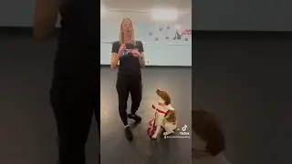 Ouch! My dog grabs a treat so hard!