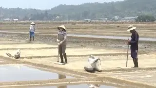 Tin Tức 24h: Quy hoạch sản xuất muối Sa Huỳnh ở Quảng Ng&atilde;i