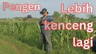 Kamera dji O3 di kecepatan terbang cinebot30