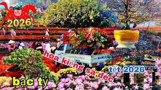 hoa 