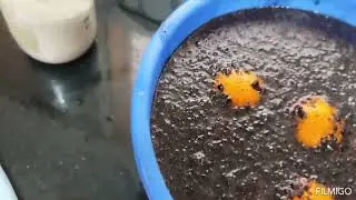 ጭማቂ አሰራር