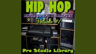 Hip Hop Drum Sample & Loop #21