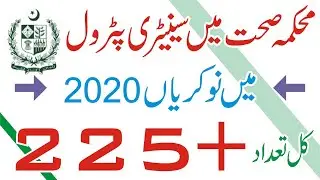 Sanitary Petrol Jobs 2020 | Health Department Jobs | Male Female Jobs | PS Healthcare Punjab Jobs