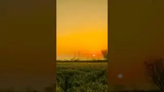 #youtubeshorts #shorts #stutas #story #village #nature #natureview #myvillage #crop #wheatcrop