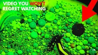 Oddly Satisfying Ink In Motion