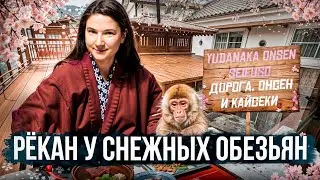 Едем к снежным обезьянам: исследуем рёкан Yudanaka Onsen Seifuso возле Jigokudani Monkey Park
