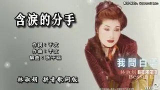 林淑娟 Bessie Lin - 恋歌金曲 Vol.2【含泪的分手】（拼音歌词版）