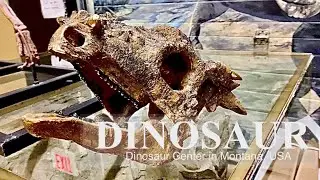 Exploring Montana Dinosaur Center: A Mind-Blowing Journey Through Prehistoric Wonders!