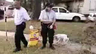 Debby MacDonald rescues a dog