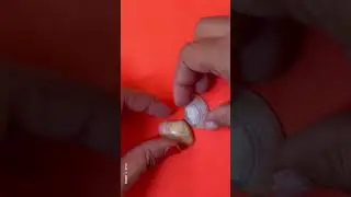 Quick Shell 🐚 craft idea #5minutecrafts #diy #artandcraft #easycrafting #viral #today #viralshorts