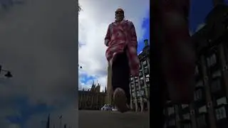 What a trip