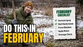DO THIS NOW 🌱 February Garden Checklist Before Spring Explodes