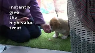 Guarding Training