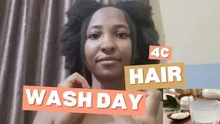 Natural Hair Wash Day Routine |Protein Treatment |Ayurvedic Herbs |Growth Challenge