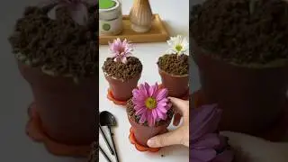 matcha tiramisu flower pots | beautiful spring dessert idea!