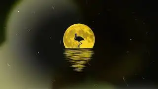 *FREE* Burna Boy x Wizkid Type Beat - 