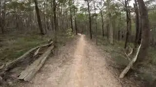 Powerful Howl - Follow cam of Jordan