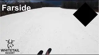 Skiing Farside at Whitetail Mountain (March 3rd, 2025)