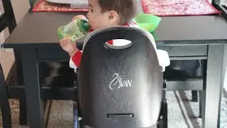 Svan Baby to Booster High Chair Review