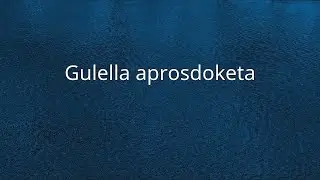 Gulella aprosdoketa