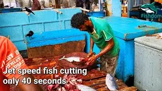 Amazing speed ! Skipjack tuna fish cutting and chopping in only 40 seconds | Fishdom fish videos