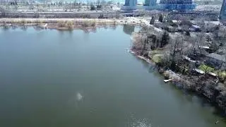 High Park   Grenadier Pond Arial View