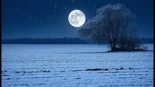 30 Min Dream Weaver: Gentle Strings, Soft Piano & Faint Chimes for Deep Relaxation & Peaceful Sleep