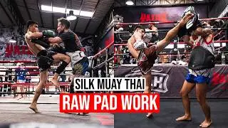 Silk Muay Thai Raw Pad Work EP1 | Siam Boxing