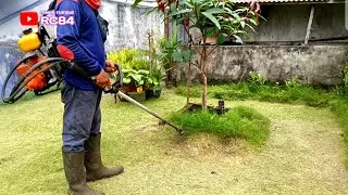 Potong rumput di halaman rumah pelanggan pakai pisau mesin rumput panjang 45cm #rc84