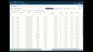 DZB portal video tutorial for customers in english