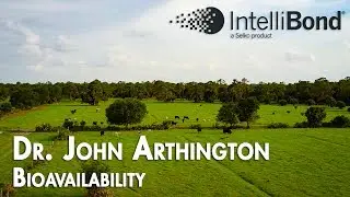 Bioavailability in Ruminants | IntelliBond