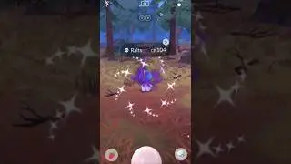 Catching a Shiny Shadow Ralts in Pok&eacute;mon GO from a team Rocket Balloon. #shinypokemon #pokemongo