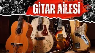 Gitar Türleri ve Farkları (Klasik, Akustik, Elektro, Bas Gitar)