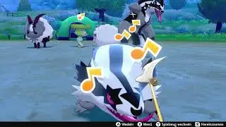 Pok&eacute;mon Sword/Shield - Playing Feather Wand with Galar-Geradaks / Galar-Linoone