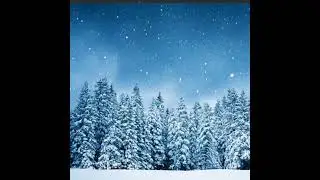 Relaxing Snowy Woods
