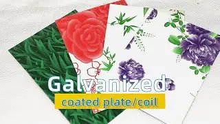 Colour Coating Sheet & plate - Ppgi Ppgl