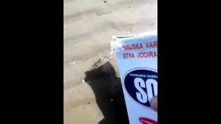 Kapelunga ili prstac iz pjeska