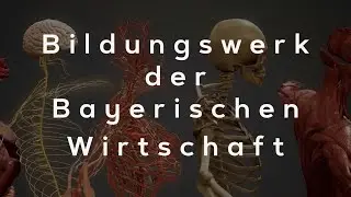 Bildungswerk der Bayerischen Wirtschaft - Understanding Electrical Hazards