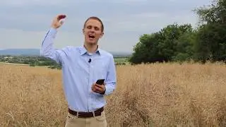 Daniel 4 | The Origin of Sin - Pride