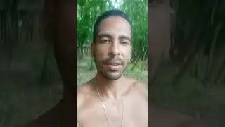 Tributos 