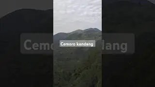 kafe di cemoro kandang #indie